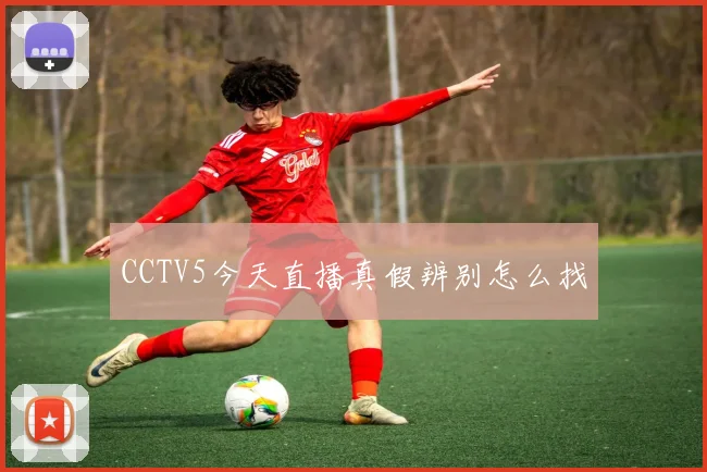 CCTV5今天直播真假辨别怎么找