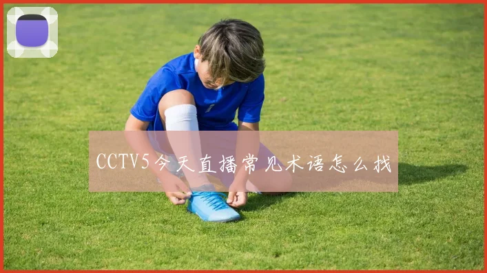 CCTV5今天直播常见术语怎么找