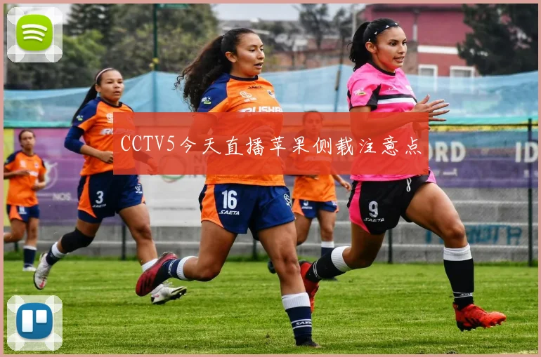 CCTV5今天直播苹果侧载注意点
